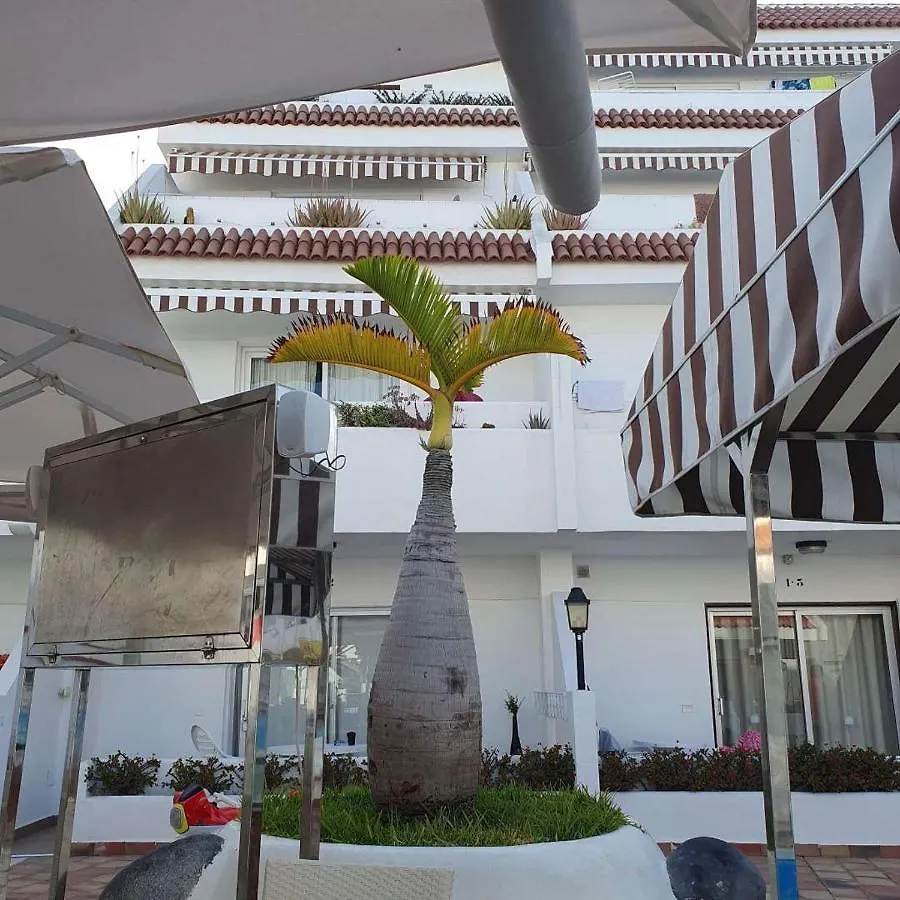 Penthouse Ar Okeana Skatu Apartment Arona  Arona (Tenerife)